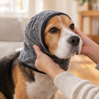Cómo poner la capucha calmante a tu perro